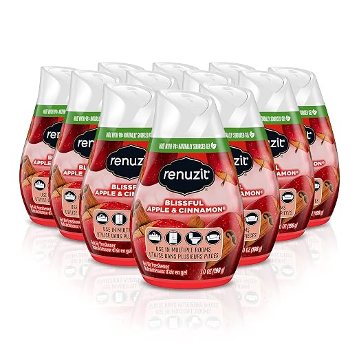 Renuzit Blissful Apple & Cinnamon Gel Air Freshener